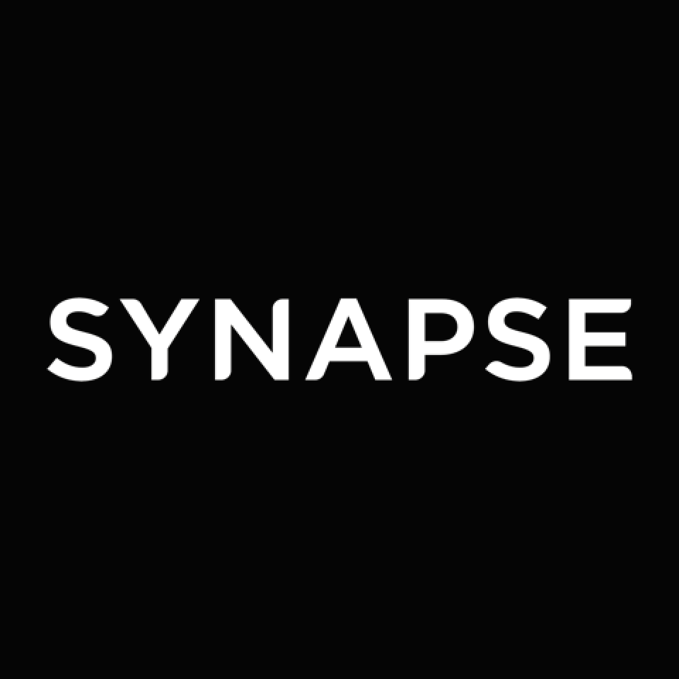 Synapse Brazil